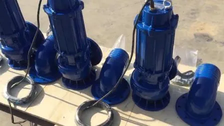 Kundenspezifische elektrische Meerwasser-Abwasser-Tauchpumpe für die Pumpe von Meerwasser